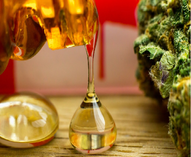 The Use of High-Cannabidiol Cannabis Extracts to Treat Epilepsy and Other Diseases