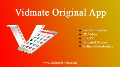 Why Vidmate Is A Famous Application