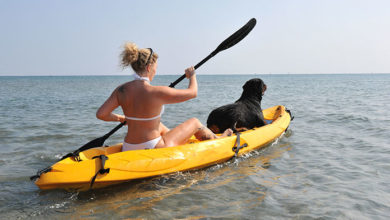 HOW TO CHOOSE A DOG KAYAK - BUYING GUIDE