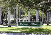 Everything You Need to Know About to Get into University of Miami