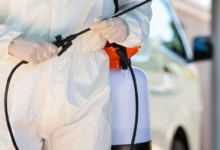 You Need Professional Pest Control Services in Australia