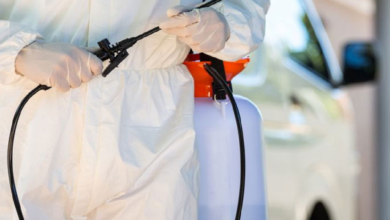 You Need Professional Pest Control Services in Australia