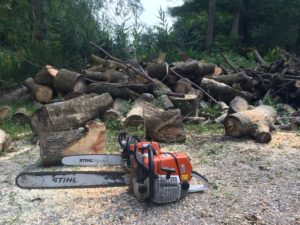 Choosing the Perfect Professional Chainsaw
