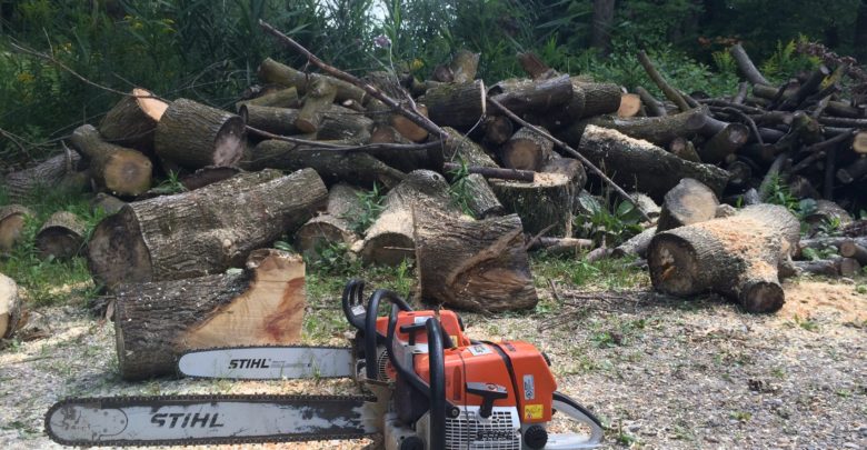 Choosing the Perfect Professional Chainsaw