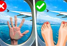 Things You Should Never Do While Flying