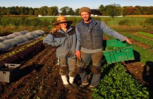 Check Amenities and Infrastructure Before Buying Farmland for Sale