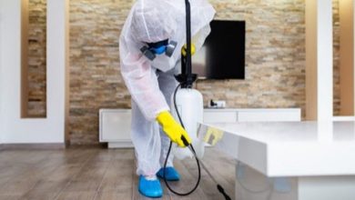Sanitization & Home Cleaning