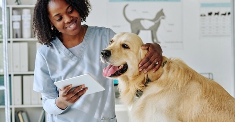 find pet veterinarian
