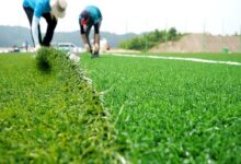 Turf synthetic grass