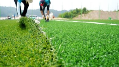 Turf synthetic grass